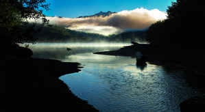 Morning Mist at Coldwater Lake: A Serene Pacific Northwest Landscape