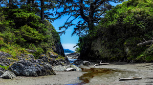 Paradise Found: Capturing the Magic of Long Beach