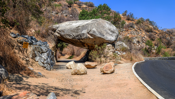 Arboreal Gateway: Tunnel Rock Sequoia National Park Print