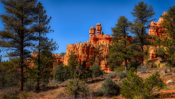 Enchanted Glimpse: The Mystical Charms of Red Canyon Print