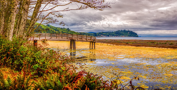 Tranquilitys Gateway: Exploring the Colors of Clallam Bay County Park Bridge Print