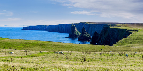 A Day at the Edge: Witnessing the Beauty of Duncansby Stacks Up Close  Print