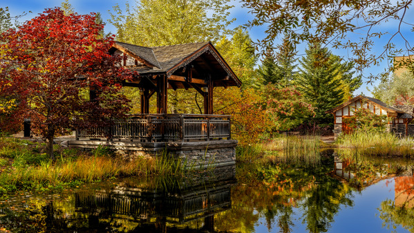 Autumn Beauty at Boffin Gardens Print