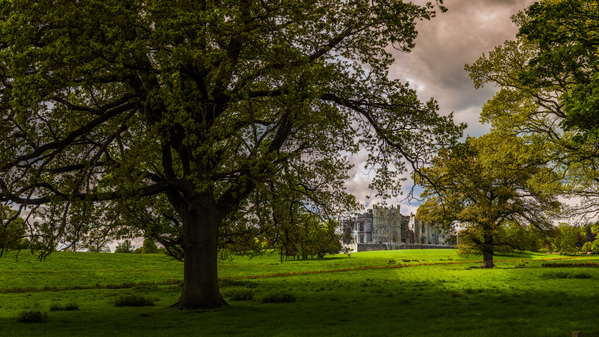 Raby Castle Elegance: An Ultra High-Resolution Journey Through Centuries Print
