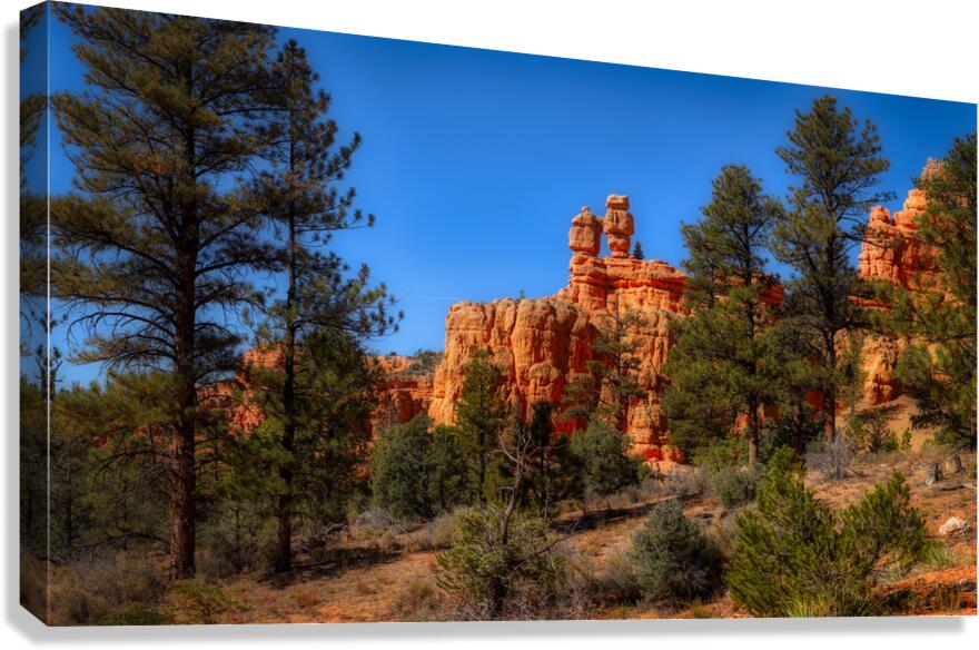 Enchanted Glimpse: The Mystical Charms of Red Canyon Canvas Print