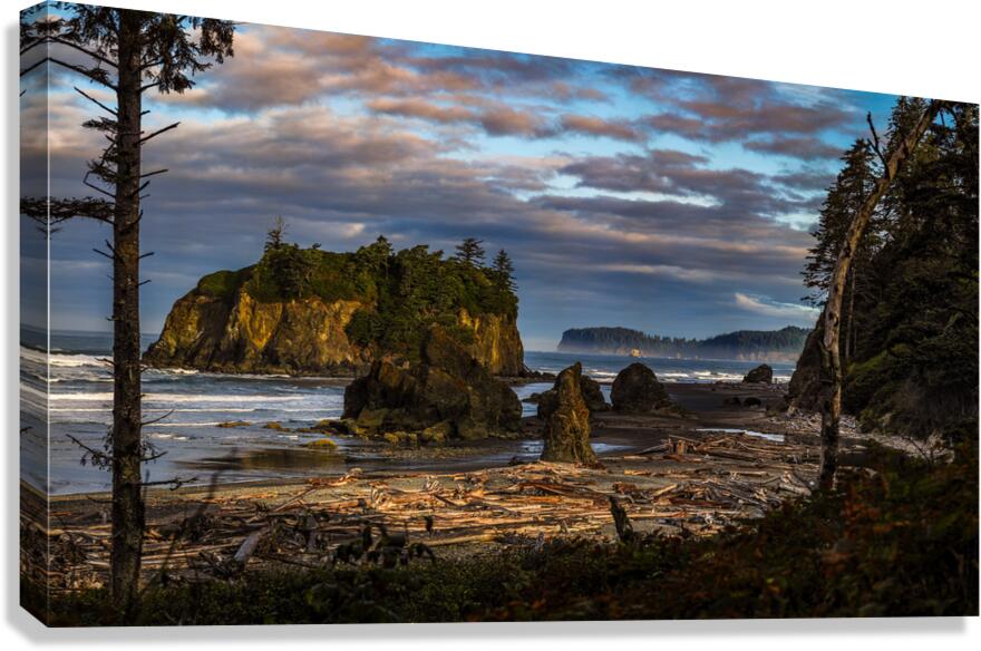 Mystical Shores: The Enigmatic Beauty of Ruby Beach Canvas Print