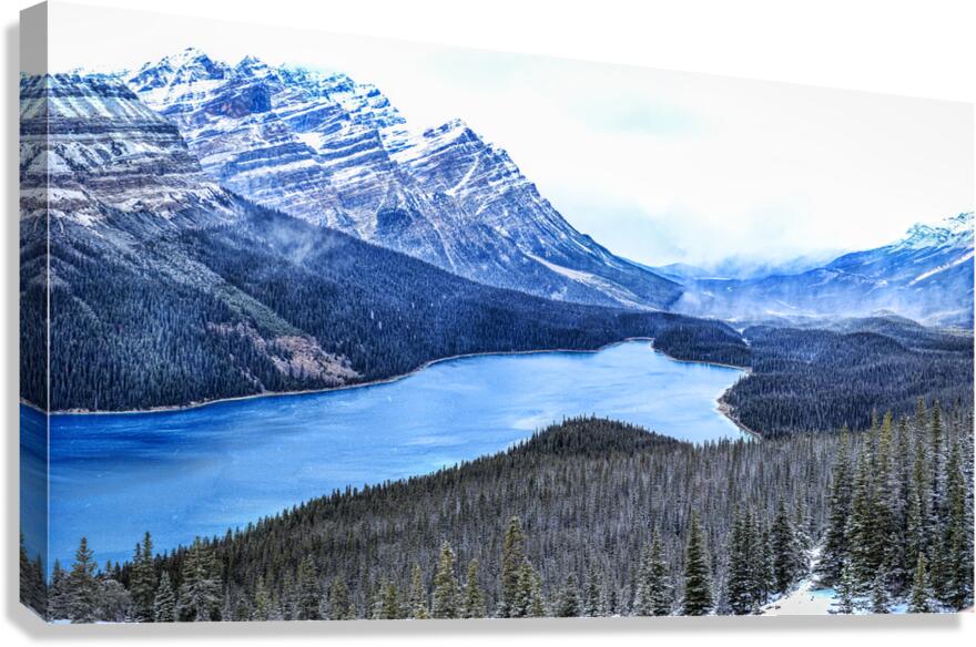 Peyto Lake Winter veil: A Canvas of Dark Evergreens and Snowy Serenity Canvas Print