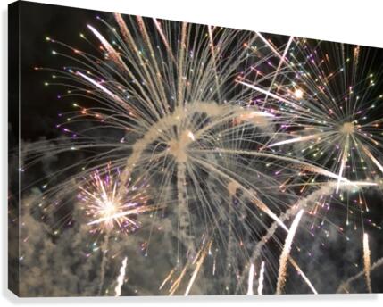 Sizzler Canvas Print