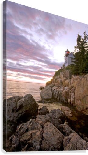 Bass Head Light Canvas Print