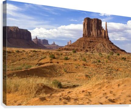 Beautiful Mitten Canvas Print