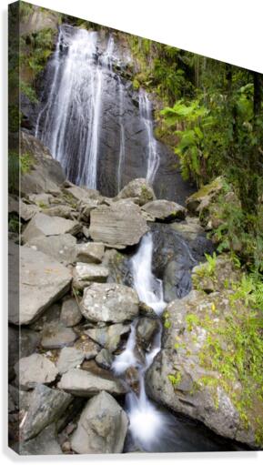 El Junque Waterfall Canvas Print