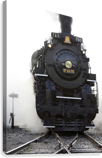 765 Roars By Canvas Print