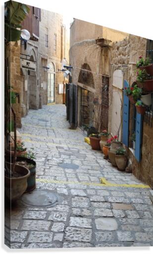 Old Yafo Canvas Print