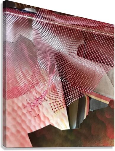 Belgian Moire Canvas Print
