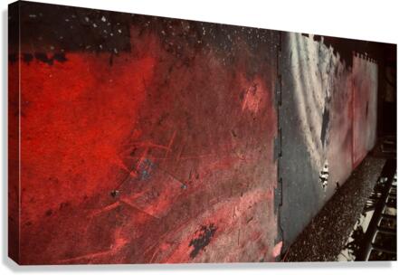 Mondo Mural Canvas Print