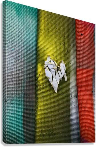 Solar Plexus OG Canvas Print