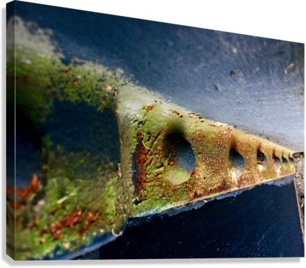 Yes Go Canvas Print