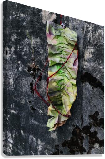 Bolt 1 Canvas Print