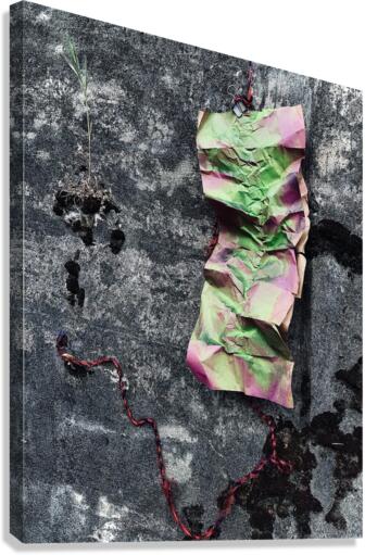 Moss Amp 7.5 Canvas Print