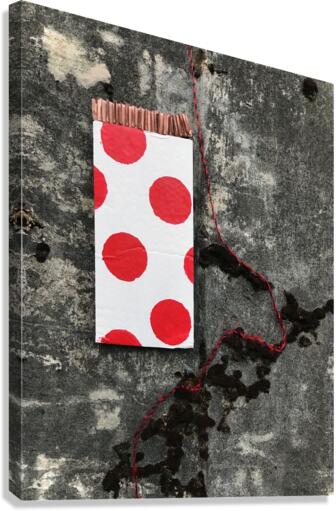 HC COL Canvas Print