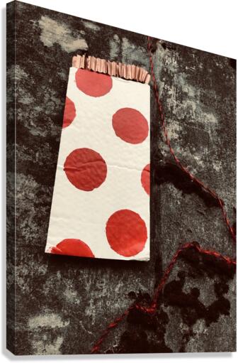 MON U MENTAL Canvas Print