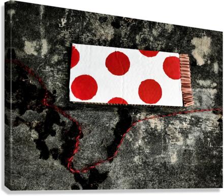 Rocket Ascent Canvas Print