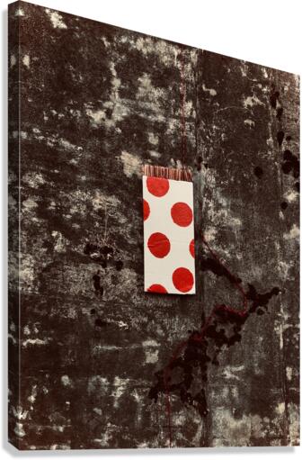Archipelago Portal  Canvas Print
