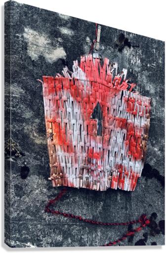 Didi Senft Canvas Print