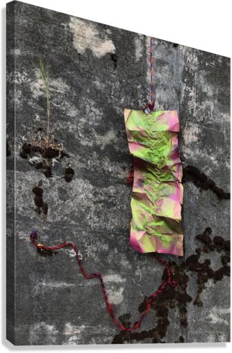 Moss Amp 2 Canvas Print