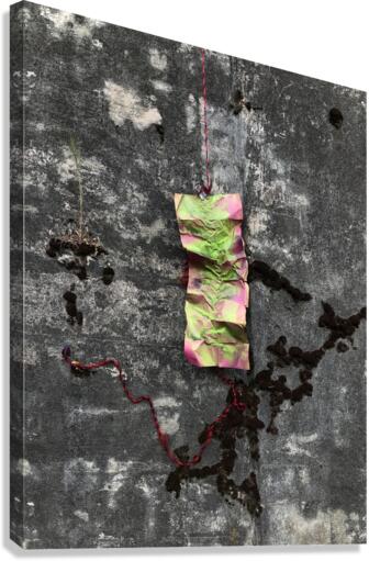 Moss Amp Vert Canvas Print