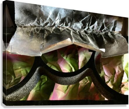 HoverCraft 1 Canvas Print