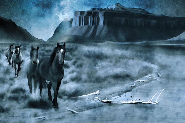 Vision Quest by Equusun