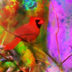 Color His Tree