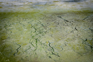 La mer est une artiste
