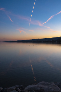 Crepuscule sur les oies