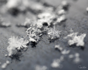 Flocons