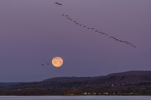 La Lune et ses voiliers  