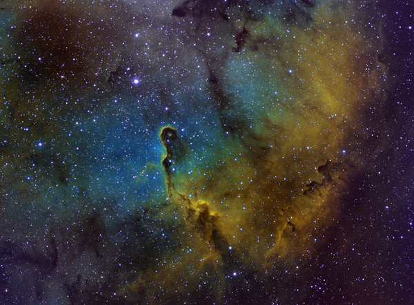 IC 1396 - Elephants Trunk Nebula by Tyler Bogdan
