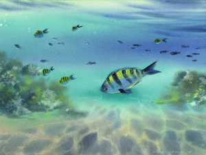 Undersea world