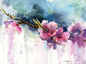 Blooming peach flower