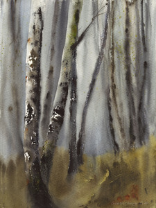 Birch Grove