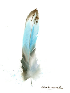 Owl feather  2