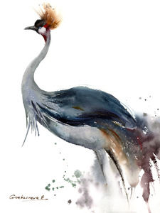 Gray Crowned-Crane