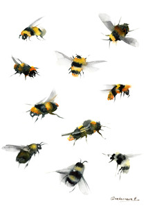 bumblebees