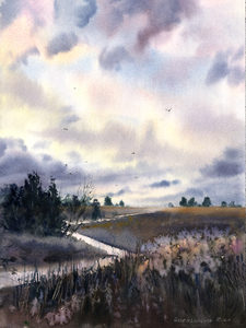 Field and clouds 3