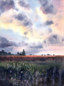 Field and clouds 1