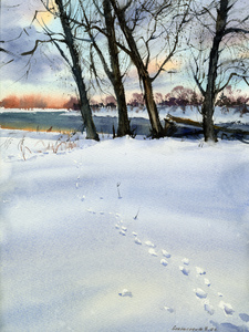 Footprints in the snow 1