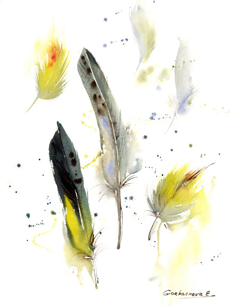 Parrot feathers Imprimer