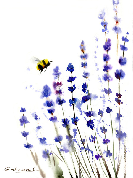 Lavender and bee Print