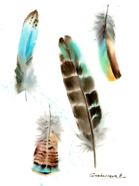Four fethers Print